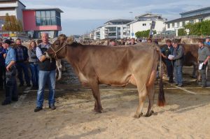 003k-Schneuter mittlere Ajax ERINA Bucher Thomas